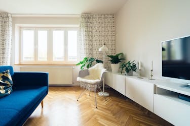 Stue med blå sofa, hvit stol, TV og planter på hvit benk. Foto