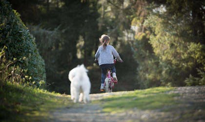 Jente sykler på grusvei med hvit hund bak seg. Foto