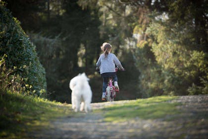 Jente sykler på grusvei med hvit hund bak seg. Foto