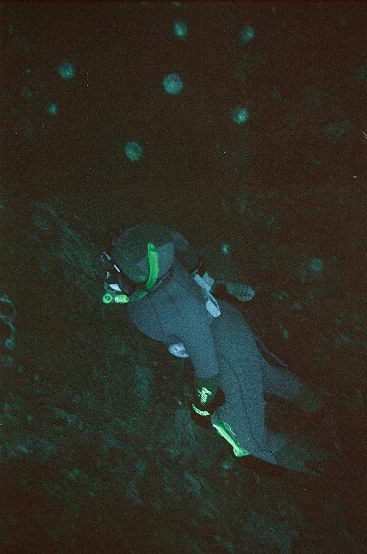 "Naturen vi glemmer" Fjorden fanga med eit analogt dykkarkamera frå 70-talet. Foto: Fredrik Ringen